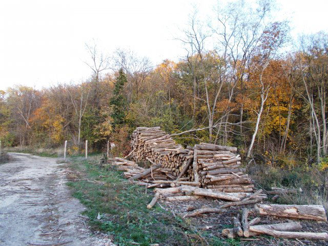 Eladó mezogazdasagi ingatlan, Nádasdladányban 111 M Ft