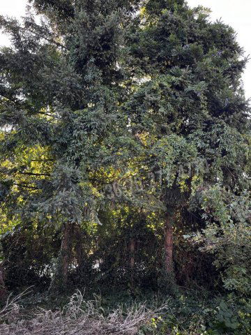 Eladó telek, Oroszlányban, Majki utcában 19.99 M Ft