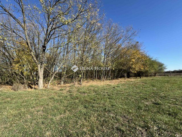 Eladó mezogazdasagi ingatlan, Harkányban 22.9 M Ft