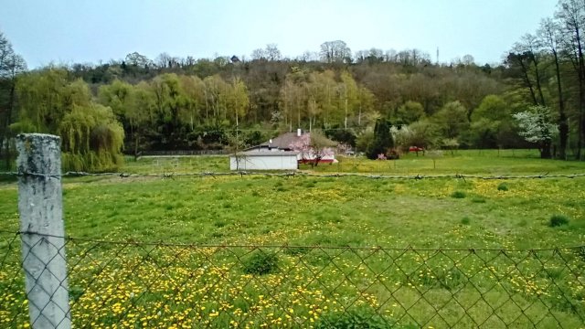 Eladó családi ház, Kaposváron 49.9 M Ft, 4 szobás