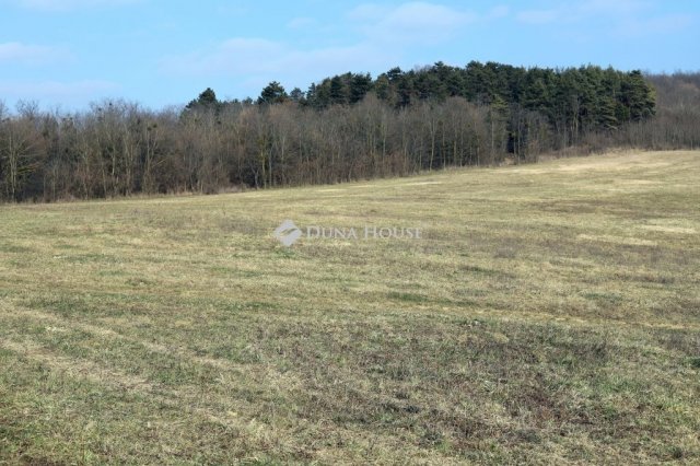 Eladó mezogazdasagi ingatlan, Alsónemesapátiban 55 M Ft