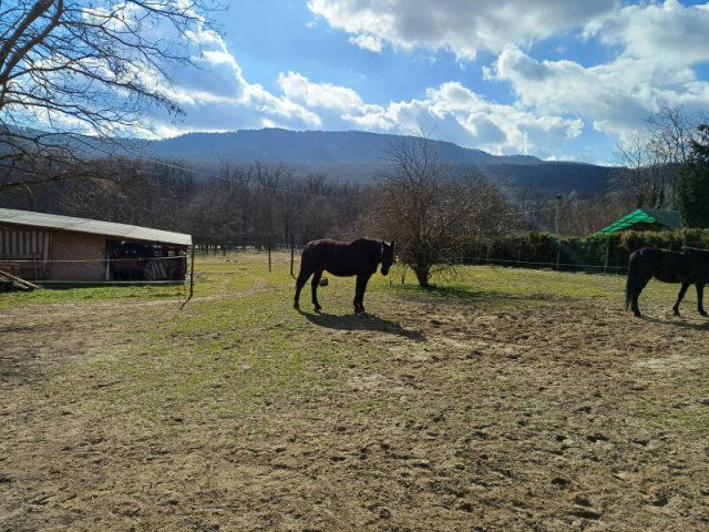 Eladó telek, Pilisszentivánon 49.9 M Ft / költözzbe.hu