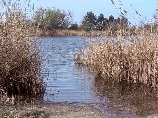 Eladó mezogazdasagi ingatlan, Győrött 179 M Ft