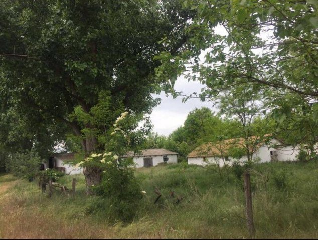 Eladó mezogazdasagi ingatlan, Sükösdön 19.5 M Ft