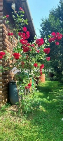 Eladó családi ház, Birjánon 84.9 M Ft, 4 szobás