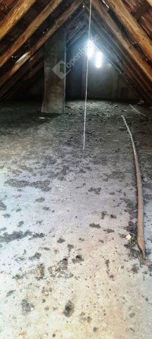 Eladó nyaraló, Szentpéterúron 2.9 M Ft, 1 szobás