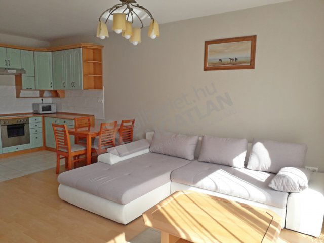 Kiadó téglalakás, albérlet, IX. kerületben, Tűzoltó utcában