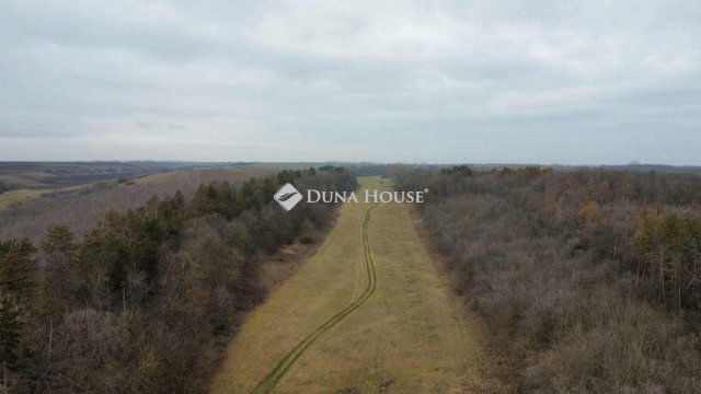 Eladó mezogazdasagi ingatlan, Pakson 230 M Ft