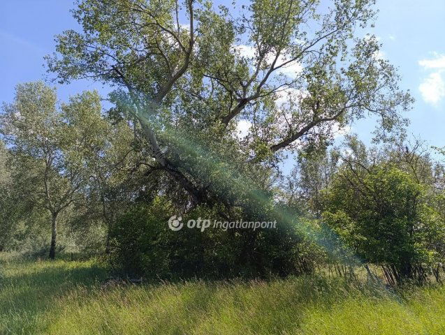 Eladó mezogazdasagi ingatlan, Pusztamérgesen 24.9 M Ft