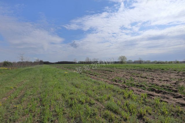 Eladó mezogazdasagi ingatlan, Szatymazon 3.2 M Ft