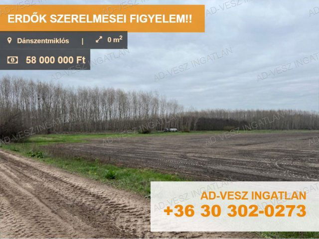Eladó mezogazdasagi ingatlan, Dánszentmiklóson 58 M Ft