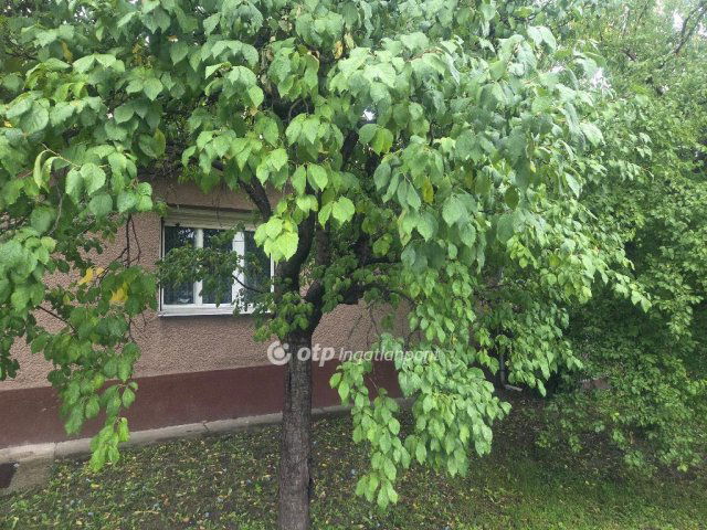 Eladó családi ház, Abonyban 41.9 M Ft, 4 szobás