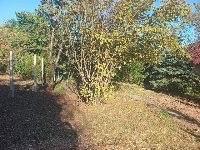 Eladó telek, Cserkúton 15 M Ft / költözzbe.hu