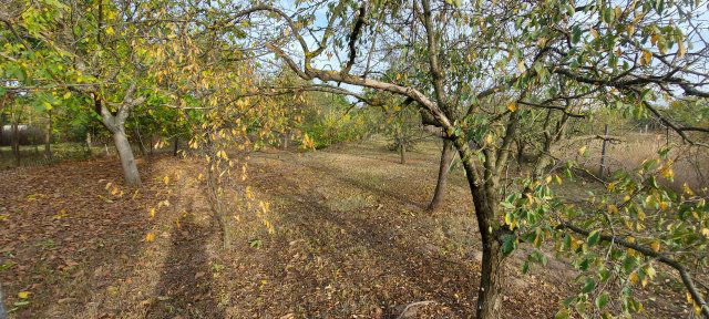 Eladó telek, Szolnokon 18.9 M Ft / költözzbe.hu