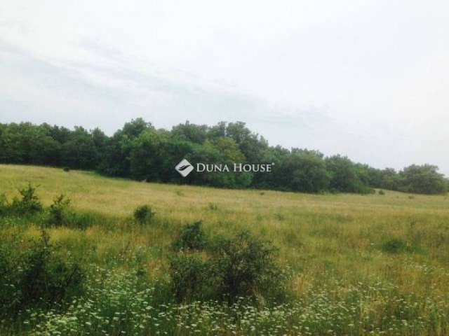 Eladó mezogazdasagi ingatlan, Öskün 15 M Ft