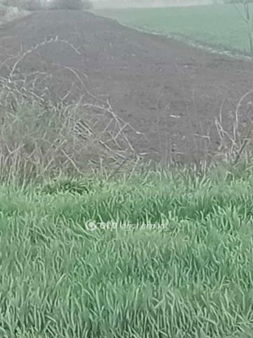 Eladó mezogazdasagi ingatlan, Derecskén 14 M Ft