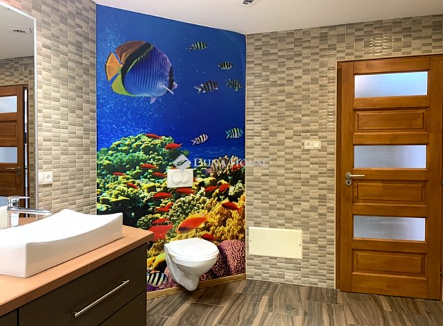 Eladó mezogazdasagi ingatlan, Kecskeméten 59.9 M Ft, 4 szobás