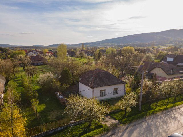 Eladó családi ház, Diósjenőn 15.9 M Ft, 4 szobás