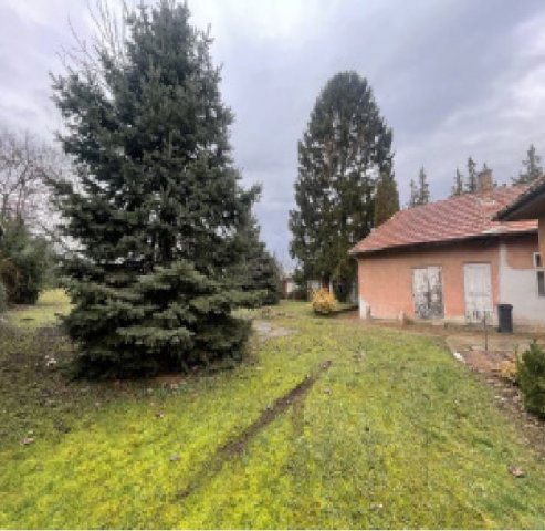 Eladó családi ház, Kosdon 55 M Ft, 3 szobás