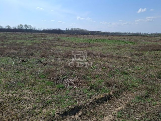 Eladó ipari ingatlan, Ballószögön 240 M Ft