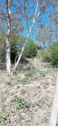 Eladó mezogazdasagi ingatlan, Tatabányán 14.79 M Ft