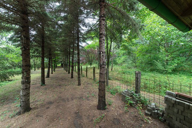 Eladó családi ház, Pécelen 395 M Ft, 6 szobás