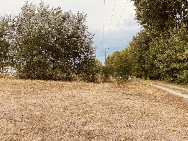 Eladó mezogazdasagi ingatlan, Felsőlajoson 14.5 M Ft
