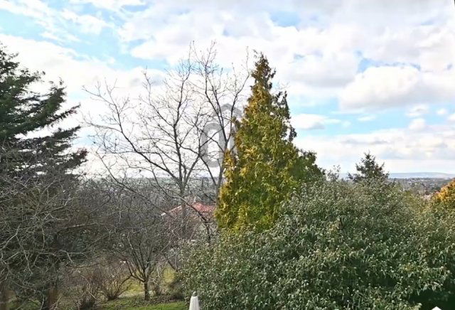 Eladó telek, Telkin 116 M Ft / költözzbe.hu