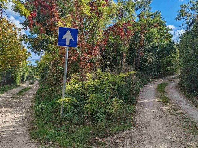Eladó telek, Balatonalmádiban 70 M Ft / költözzbe.hu