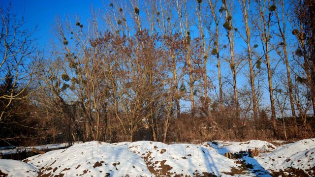 Eladó telek, Zalacsányon 9 M Ft / költözzbe.hu