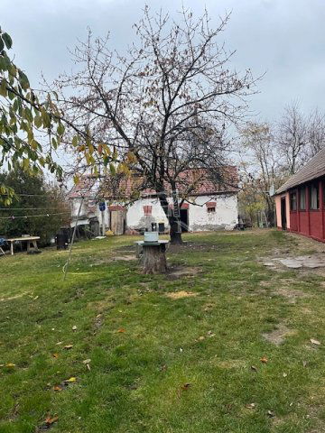 Eladó mezogazdasagi ingatlan, Zákányszéken 17.9 M Ft, 3 szobás