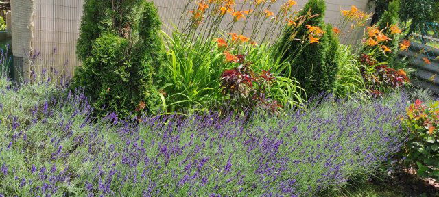 Eladó nyaraló, Oroszlányban, Malom utcában 25 M Ft, 2 szobás