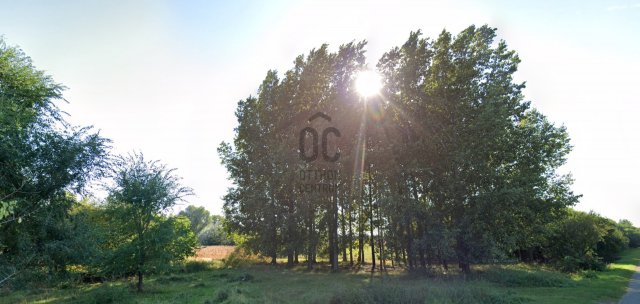 Eladó telek, Tégláson 2275 M Ft / költözzbe.hu