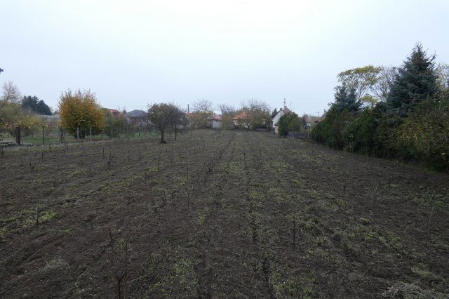 Eladó telek, Ráckevén 15.5 M Ft / költözzbe.hu