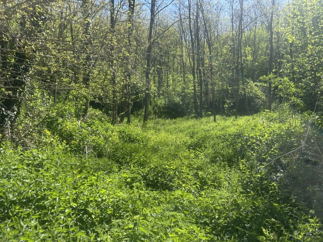 Eladó telek, Bárdudvarnokon 5.6 M Ft / költözzbe.hu