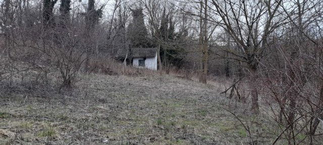 Eladó mezogazdasagi ingatlan, Zalacsányon 3.6 M Ft