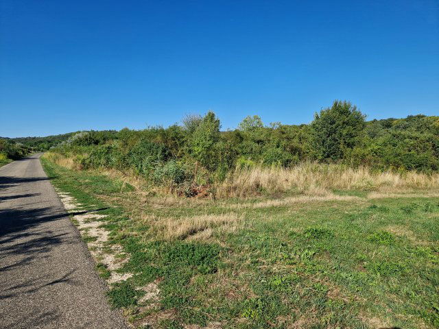 Eladó mezogazdasagi ingatlan, Budakeszin 29.9 M Ft
