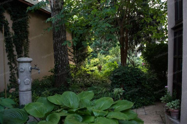 Kiadó családi ház, albérlet, Kecskeméten 800 E Ft / hó