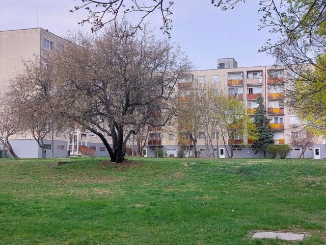 Eladó panellakás, Szentendrén, Károly utcában 67.9 M Ft