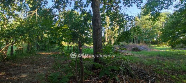 Eladó telek, Csöglén 5 M Ft / költözzbe.hu
