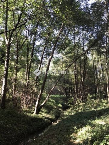 Eladó telek, Bagodon 12.49 M Ft / költözzbe.hu