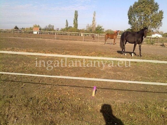 Eladó telek, Dömsödön 10.9 M Ft / költözzbe.hu