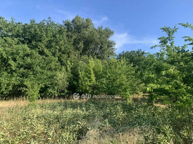 Eladó telek, Tápiószőlősön 3.9 M Ft / költözzbe.hu