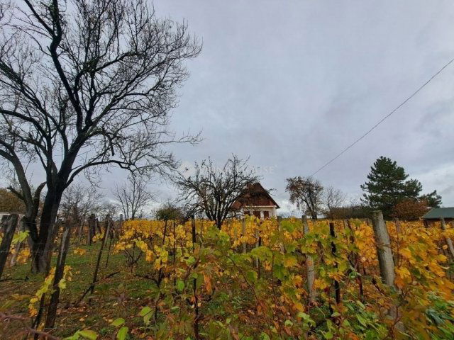 Eladó családi ház, Báron 17.5 M Ft, 2 szobás