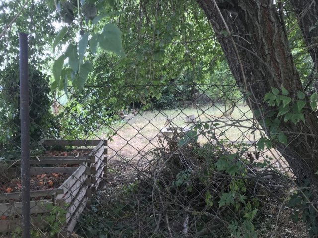 Eladó telek, Velencén 99 M Ft / költözzbe.hu