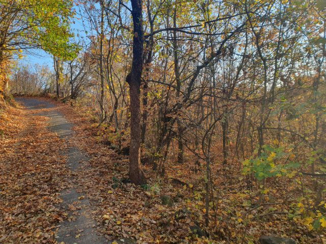 Eladó telek, Gyulakeszin 18 M Ft / költözzbe.hu
