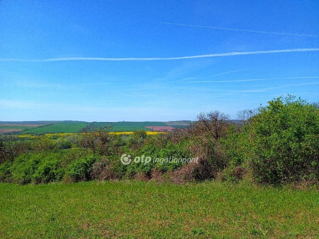 Eladó telek, Aszódon 41 M Ft / költözzbe.hu