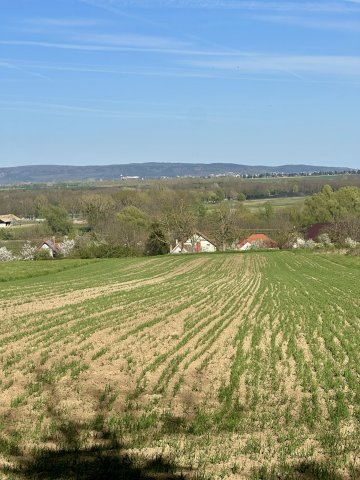 Eladó mezogazdasagi ingatlan, Alsópáhokon 27 M Ft