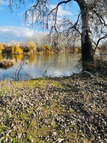 Eladó telek, Szigetcsépen 45 M Ft / költözzbe.hu