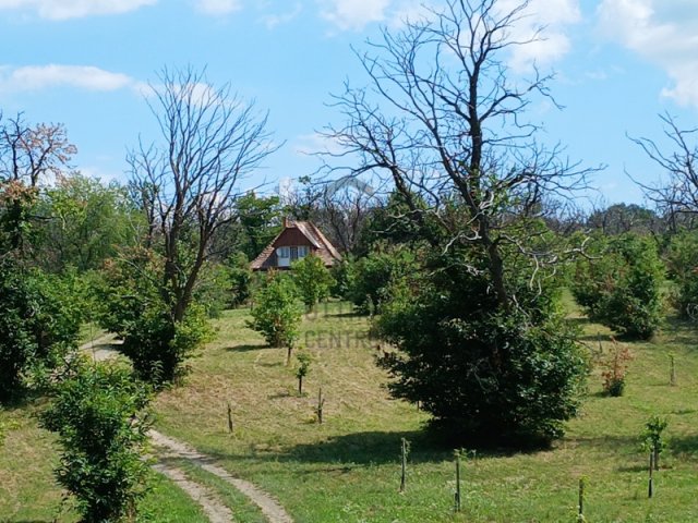 Eladó mezogazdasagi ingatlan, Pilismaróton 230 M Ft